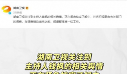 娱乐圈吃瓜营销号推荐,揭秘明星们的“瓜田”秘闻！